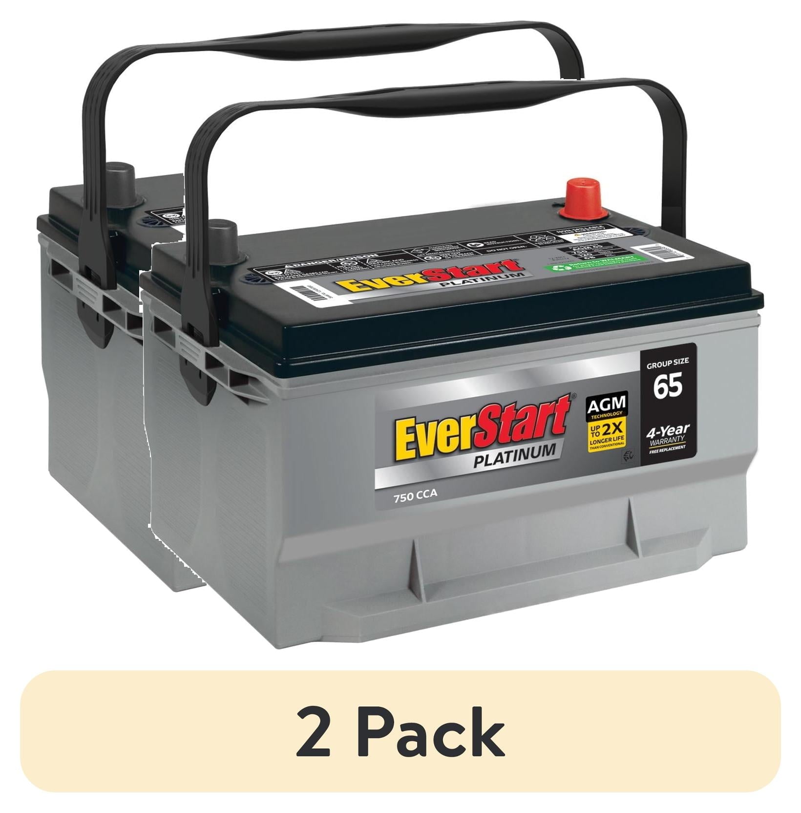 EverStart Platinum AGM Battery, Group Size 65